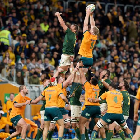 Rugby Union: Australia Vs Springboks News