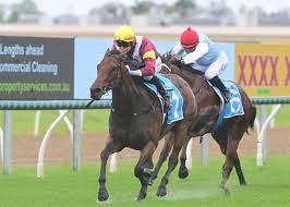 Free Magic Millions Horse Racing Winners